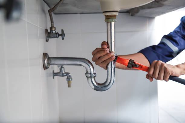 Best Local Plumber Services  in Cedar Grove, FL